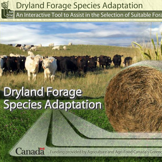 past-projects-sk-dryland-forage.jpg